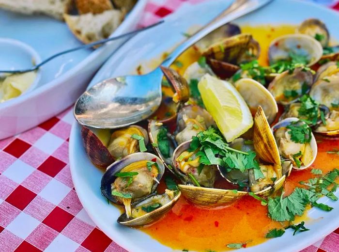 A long dish of clams in a savory sauce, garnished with herbs.