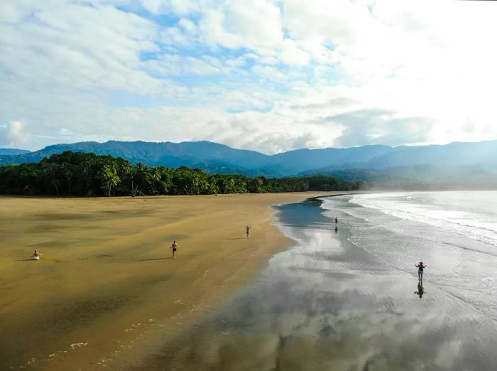 A small group of individuals practices yoga poses on an unoccupied beach, maximizing the tranquil space.