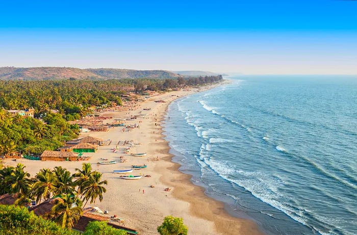 Aerial view of Arambol beach: a stretch of white sand kissed by waves and lined with palm trees. Sunbathers dot the shore, and colorful fishing boats are scattered along the beach.