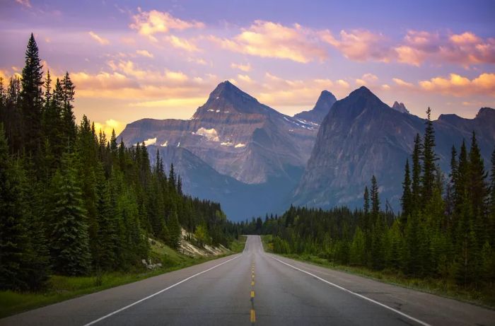 A road stretches ahead, bordered by forests on either side, with the majestic Rockies rising in the background.