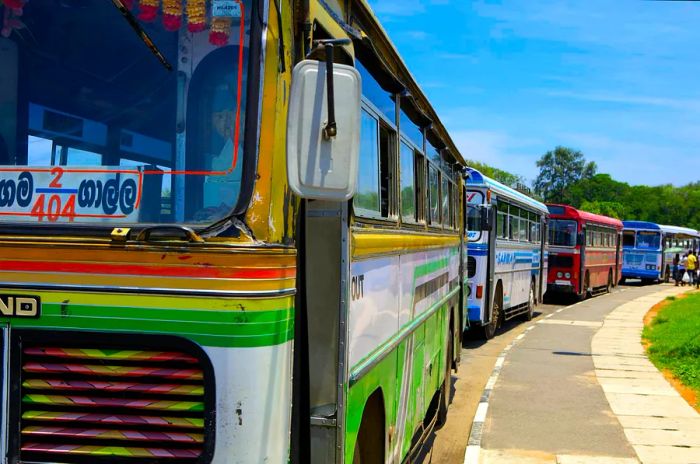 A line of vibrant buses parked together