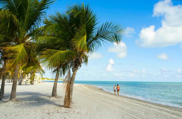 A couple strolling along a pristine white-sand beach lined with palm trees