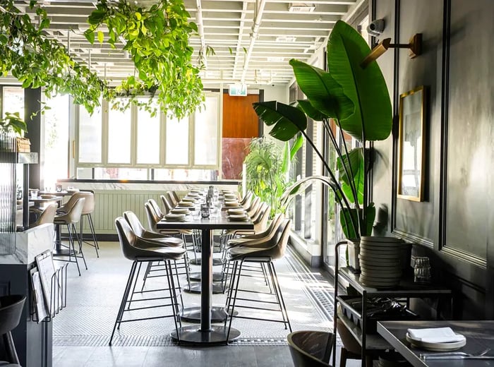 A vibrant, plant-filled restaurant space featuring a long table with charming schoolhouse chairs.