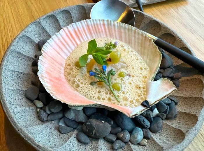 A seafood emulsion elegantly served in a large decorative shell with a pink fringe.