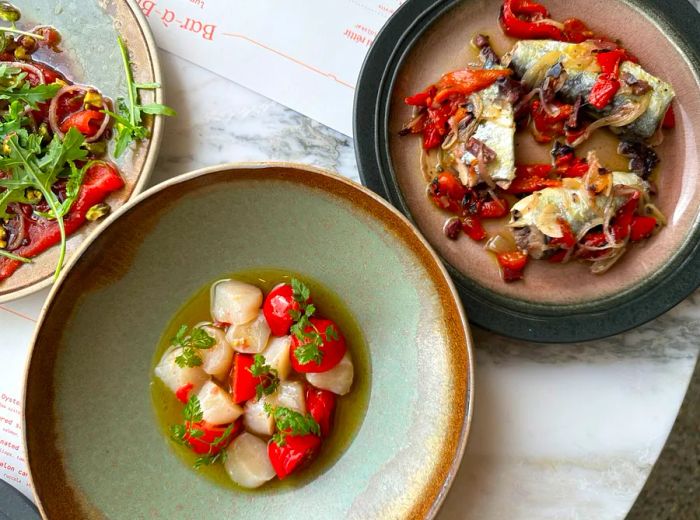 A spread of seafood dishes laid out on a table, featuring roasted fish with its skin and scallops swimming in a tomato broth.