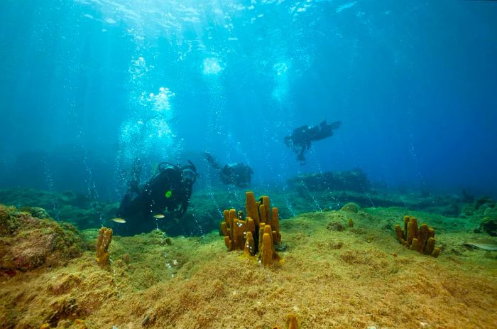 Volcanic Bubbles at Champagne Beach, Caribbean Sea, Dominica