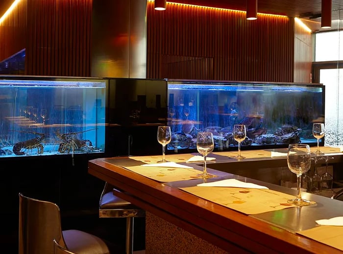 An L-shaped bar adorned with place settings and wine glasses sits in front of two lobster-filled fish tanks, all set in a sleek dining area with soft lighting.