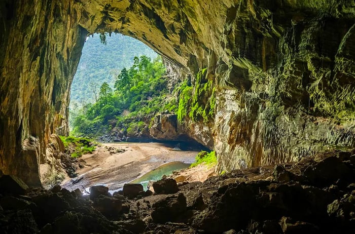 An opening to the Hang En cave system offers a view overlooking lush woodland.