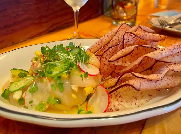 A vibrant plate of ceviche garnished with radish slices and microgreens, served alongside crispy chips and a glass of wine.