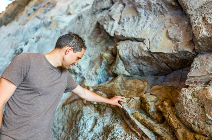 A visitor examining dinosaur bones at Dinosaur National Monument, Colorado