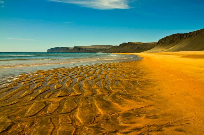 Rauðasandur, a golden beach located in the West Fjords of Iceland.