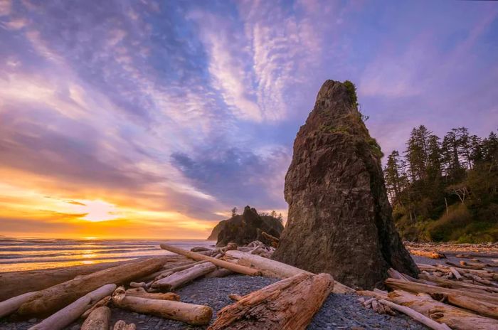 A picturesque view of driftwood, a sea stack, and a sunset at Ruby Beach in Olympic National Park, Washington.