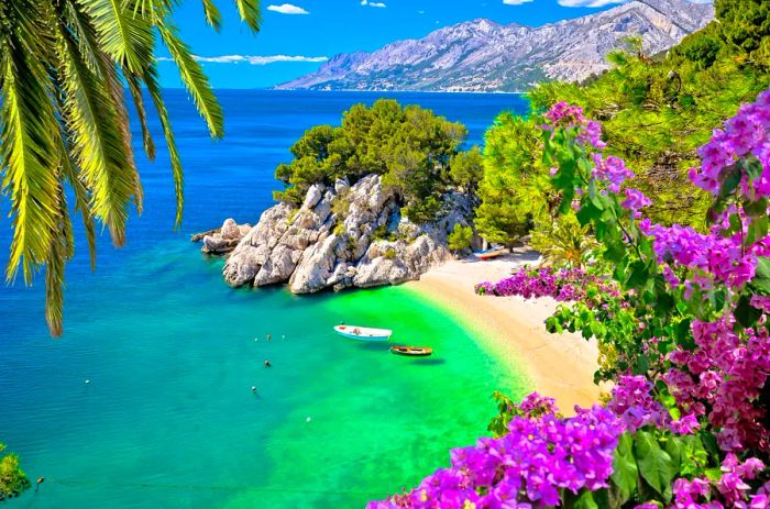 Idyllic Punta Rata beach in Brela, aerial view, along the Makarska Riviera of Dalmatia, Croatia.