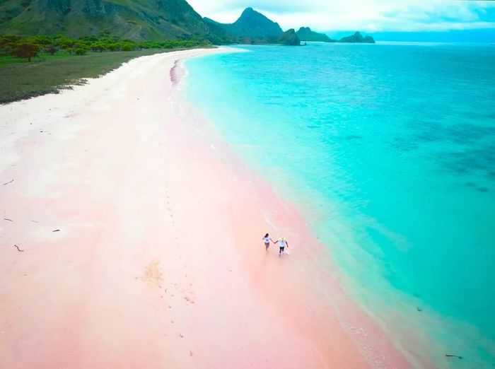 Aerial view of the Pink Beach in Komodo National Park, Flores, Indonesia.