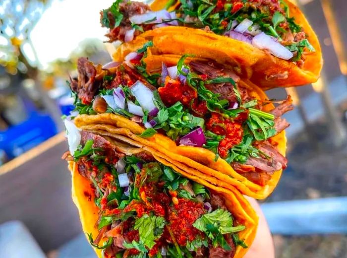 A hand grips three generously filled tacos, brimming with fresh ingredients.