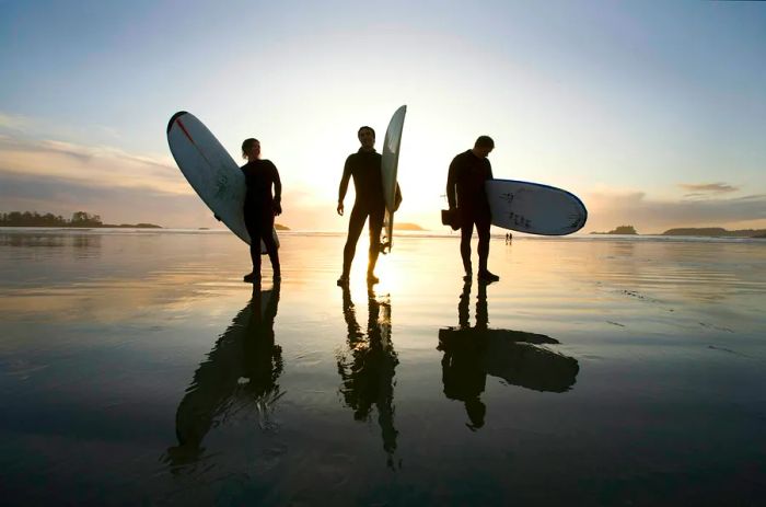 Surfers enjoy the sunset on Chesterman Beach, Tofino, Vancouver Island, British Columbia, Canada.