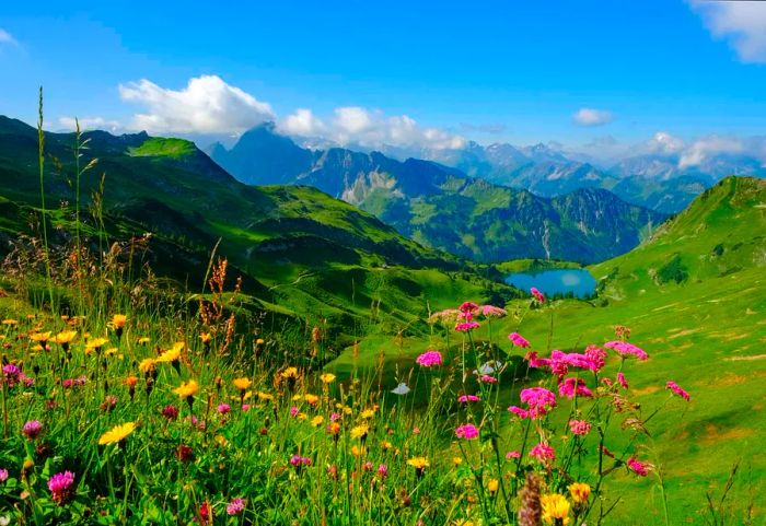 Rolling hills and majestic mountains adorned with vibrant yellow, pink, and purple wildflowers cascade down to a serene lake.