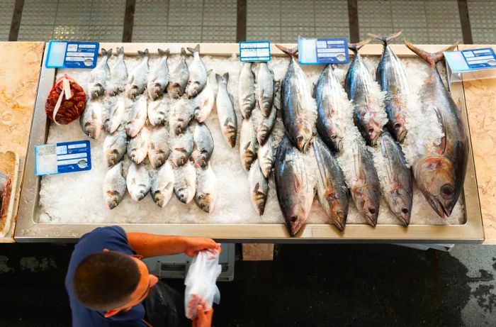 A fishmonger displays his catch on a bed of ice from above.