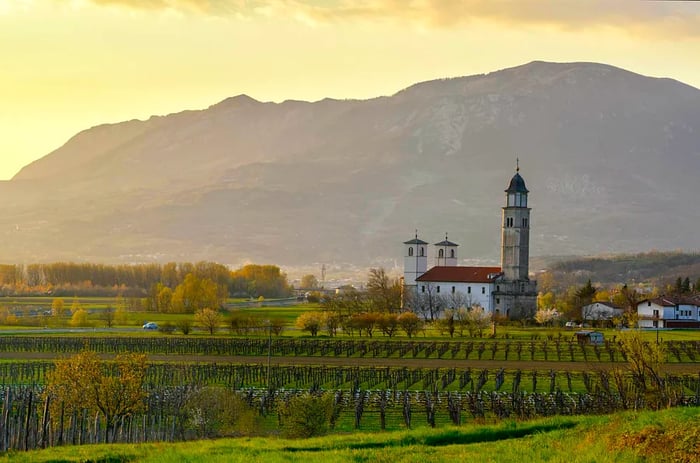 A church rises amid vineyards and mountains in a picturesque Slovenian valley.