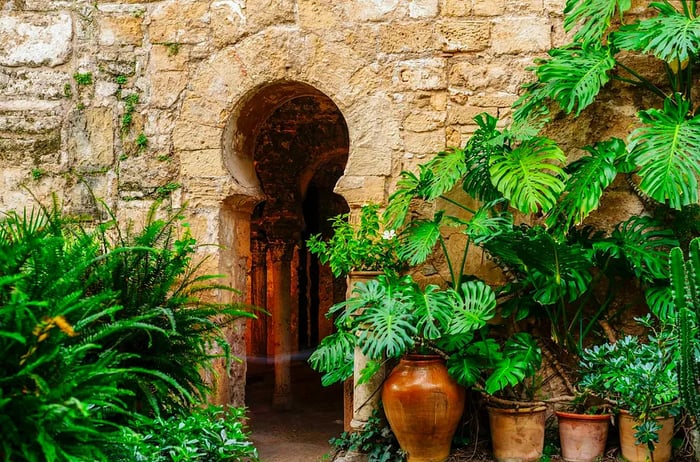 A vibrant plant climbs over a wall, leading to a Moorish door that opens into baths.