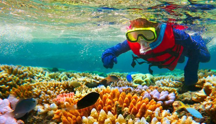 A child in a full-body stinger suit snorkels above a reef.