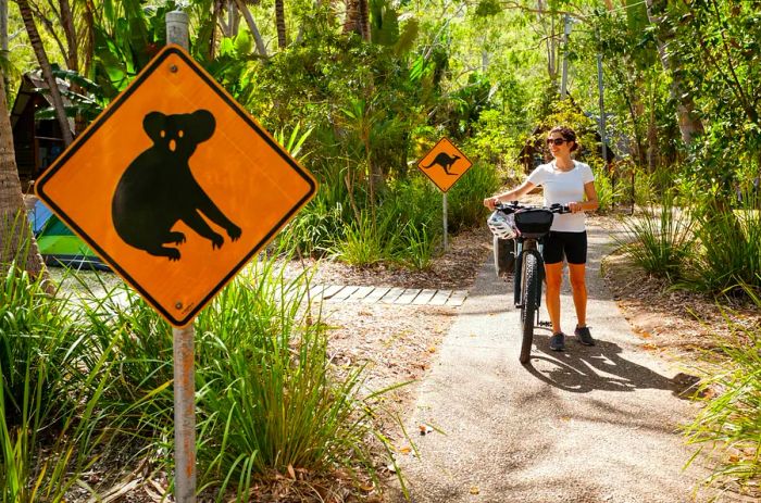 A woman riding an e-bike along a path with signs indicating the presence of kangaroos and koalas nearby.