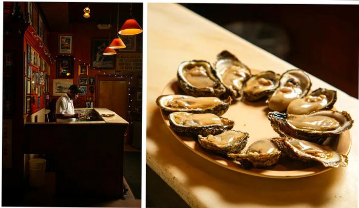 A person shucking oysters next to a plate of freshly opened oysters