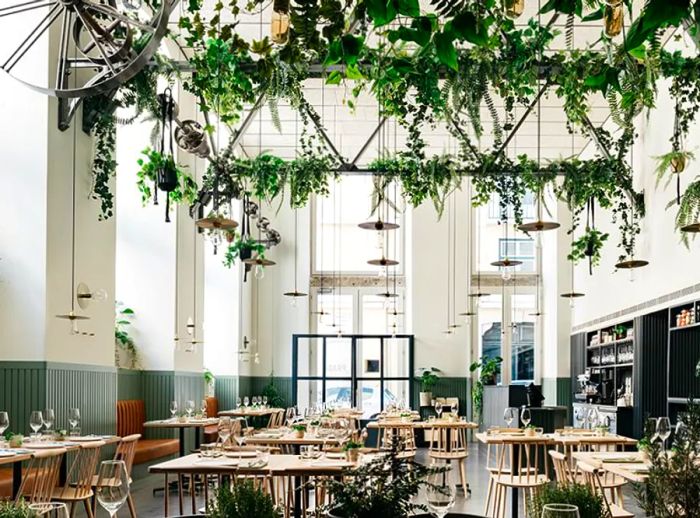 A view inside Prado restaurant showcasing high ceilings, abundant natural light, hanging plants from the rafters, and simple light wood tables and matching spindle-backed chairs.