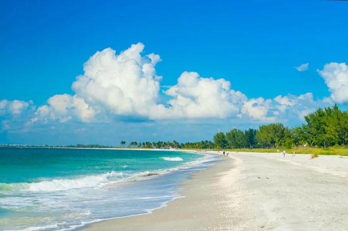 A winding beach beneath overcast skies with blue skies above