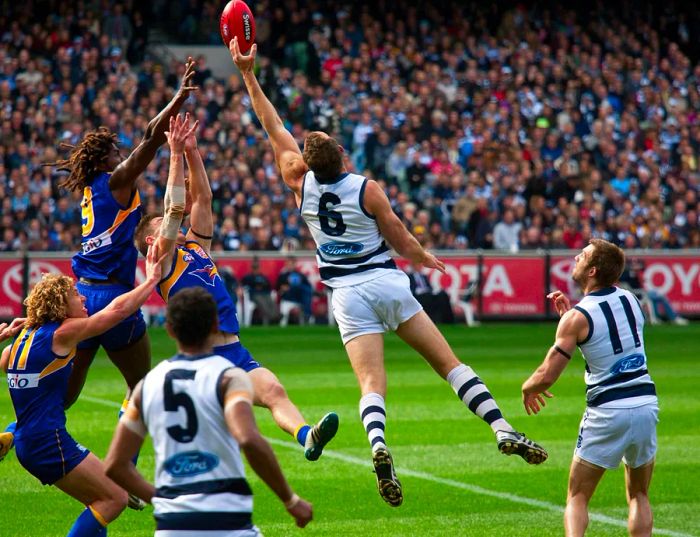 MELAustralian Rules Football player Brad Ottens (number 6) reaches for a ruck contest during Geelong's preliminary final victory over West Coast on September 24, 2011, in Melbourne, Australia.