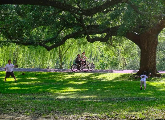 People cycling and walking beneath oak trees in City Park, New Orleans