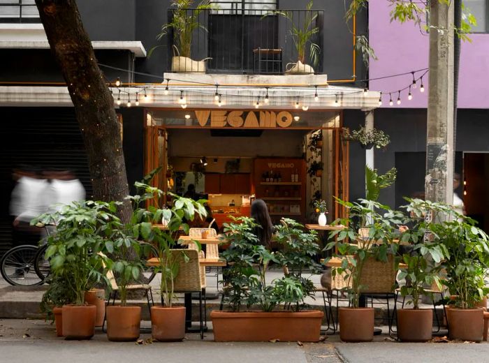 The restaurant's exterior is adorned with sidewalk plants and twinkling string lights.