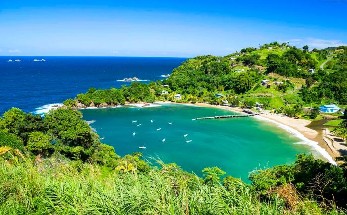 An aerial perspective of the turquoise waters at the inlet and beach in Parlituvier, Tobago