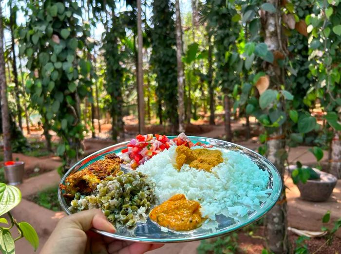 A hand presents a dish featuring rice accompanied by a variety of curries and other items against a lush tropical backdrop.