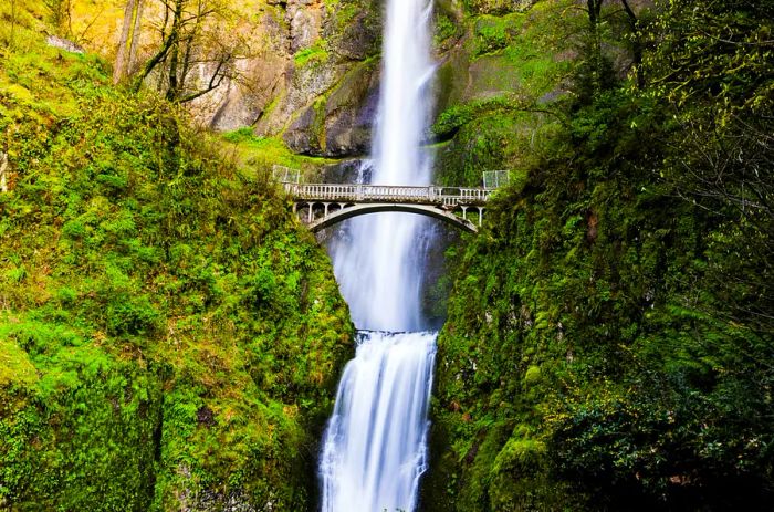 Stunning Multnomah Falls in Oregon