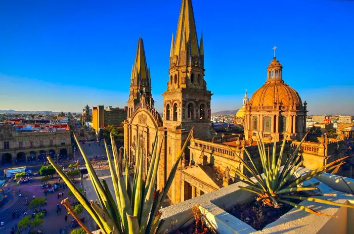 A rooftop view of Guadalajara cathedral, surrounded by agave plants under a clear blue sky