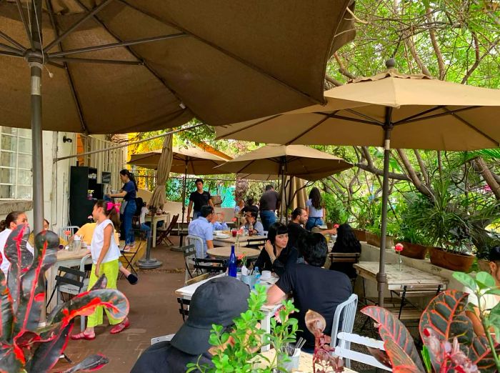 Outdoor cafe tables filled with patrons in the Colonia Americana neighborhood of Guadalajara