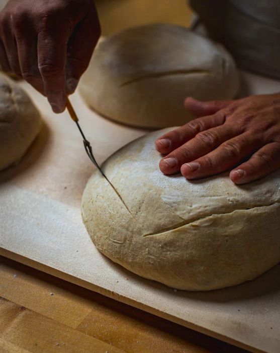 A baker makes slashes in a mound of bread dough.