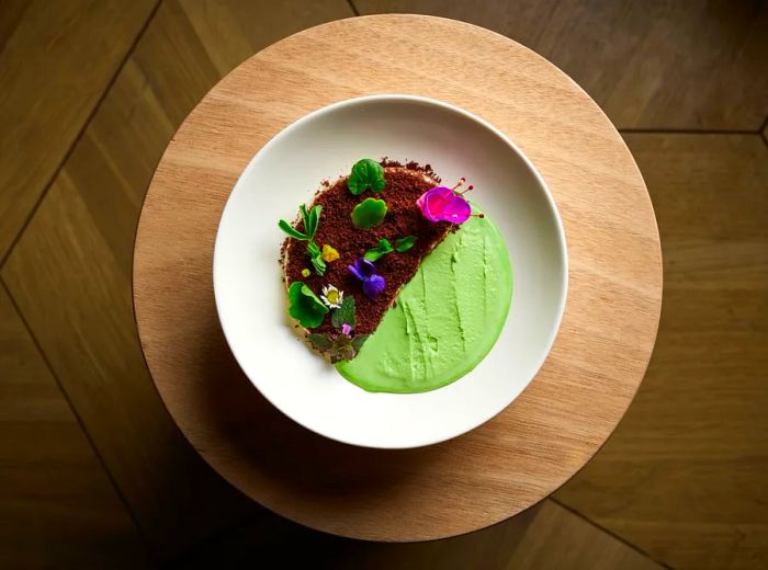 A bird's-eye view of a dish resembling a mound of soil scattered with plants, accompanied by a stream of green cream.