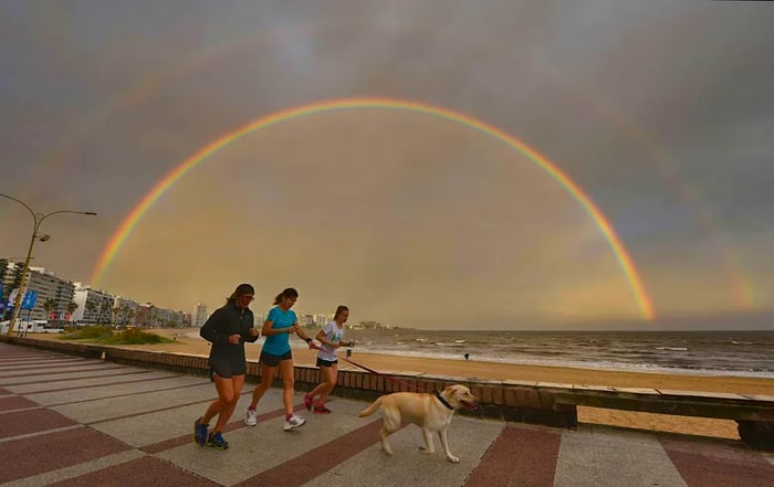 People jog alongside their dogs on Pocitos' Rambla as a stunning double rainbow graces the sunset over Montevideo.