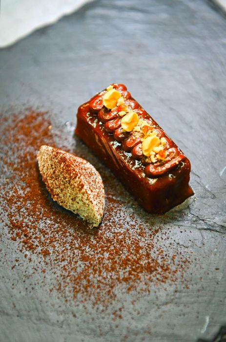 A dessert featuring a chocolate bar-like pastry next to a scoop of cream dusted with spices.