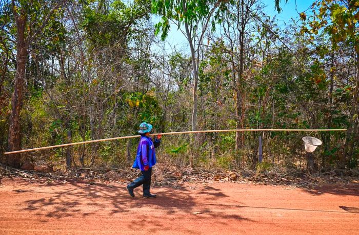 A woman carries a long pole with a small net attached to the end.