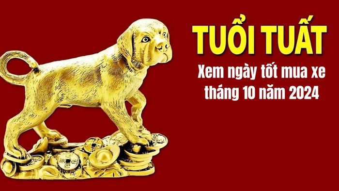 Ngày tốt mua xe tháng 10/2024 cho người tuổi Tuất