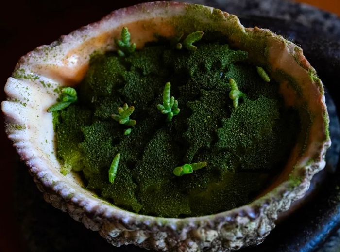 A dish served in a large shell that evokes mounds of grass sprinkled with tiny cacti.