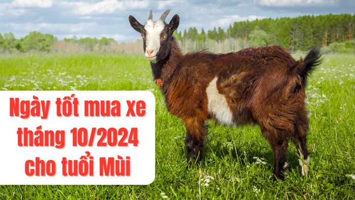 Ngày đẹp để mua xe trong tháng 10/2024 cho tuổi Mùi