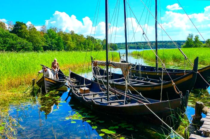 Wooden Viking longships are tied together in a quaint harbor by serene waters filled with reeds.