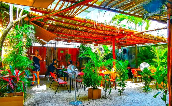 Interior of a restaurant adorned with lush plants and wooden accents, Playa del Carmen, Mexico