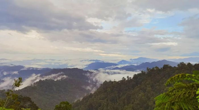 Mountains shrouded in mist and clouds.