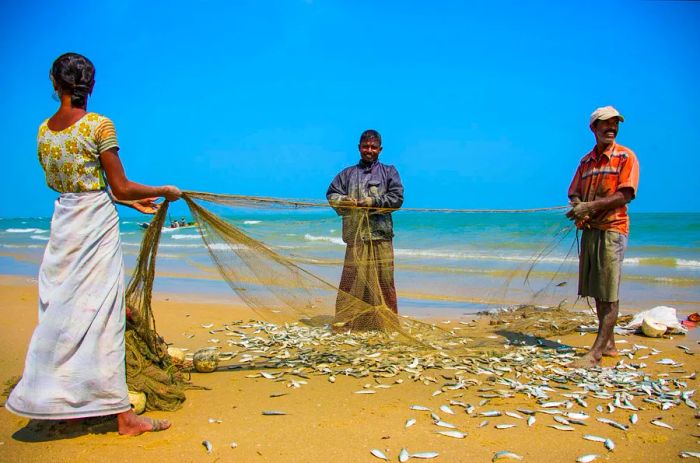 A catch of fish on Nagadeepa Island in Jaffna, Sri Lanka.