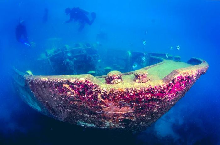 Divers exploring the Atlantic Princes shipwreck in the Caribbean Sea near the Dominican Republic.